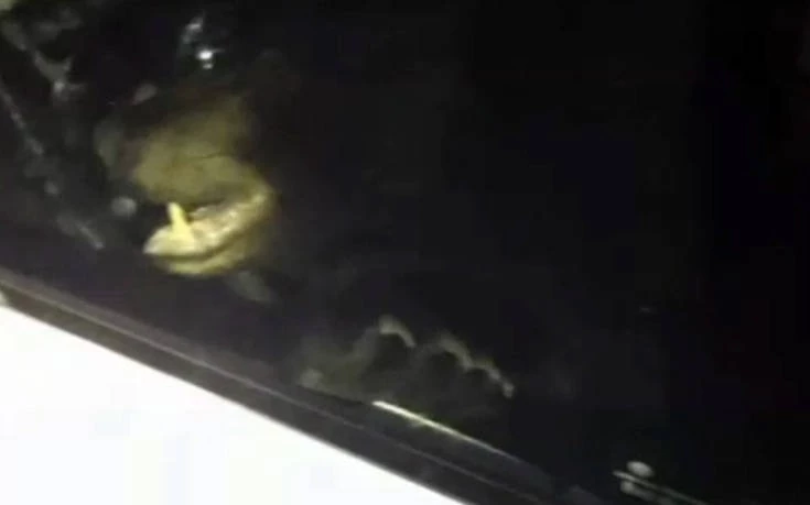 Είδε κάτι περίεργο στο αμάξι της αλλά ούτε που φανταζόταν τι είχε συμβεί – Εικόνες-βίντεο